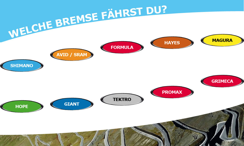 Welche Bremse fährst Du?